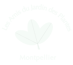 page d'accueil de Fondation AgroParisTech